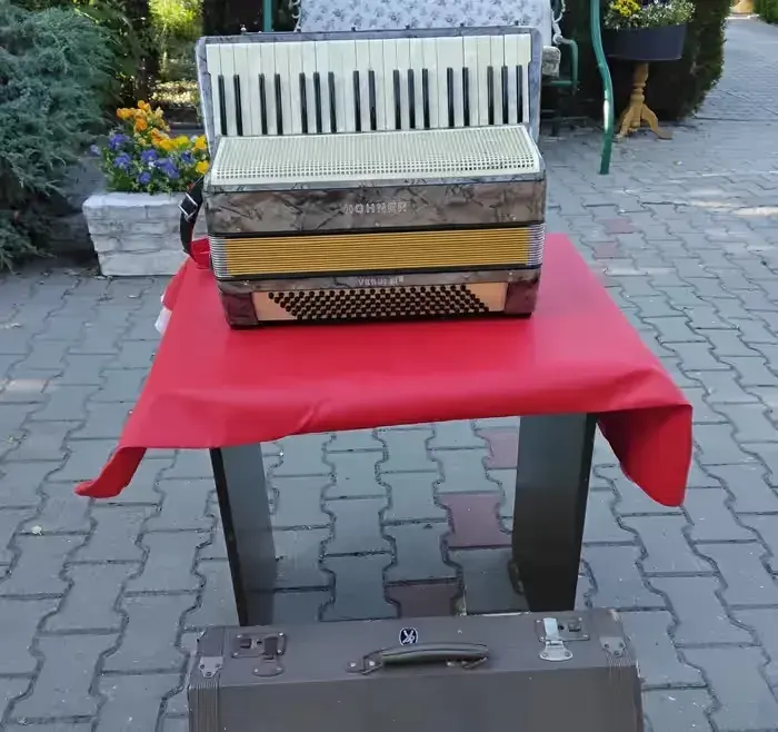 Akordeon Hohner 120/8,2kg — praca twórcy Ania na Freshwall Marketplace