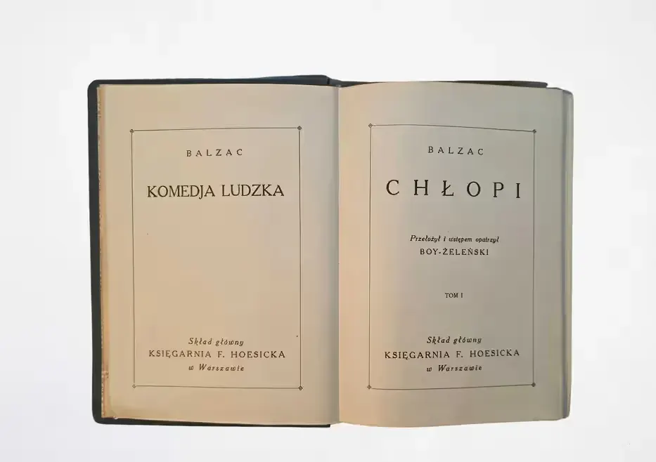 BALZAC „Chłopi” 1928 | Wydanie kompletne | Przekład Boya | Hoesick — praca twórcy Damian na Freshwall Marketplace