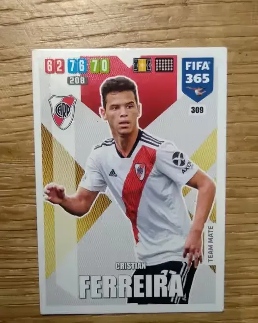 Panini Karta FIFA 365, 2020 Cristian Ferreira nr 309 CA River Plate — praca twórcy Dorota na Freshwall Marketplace
