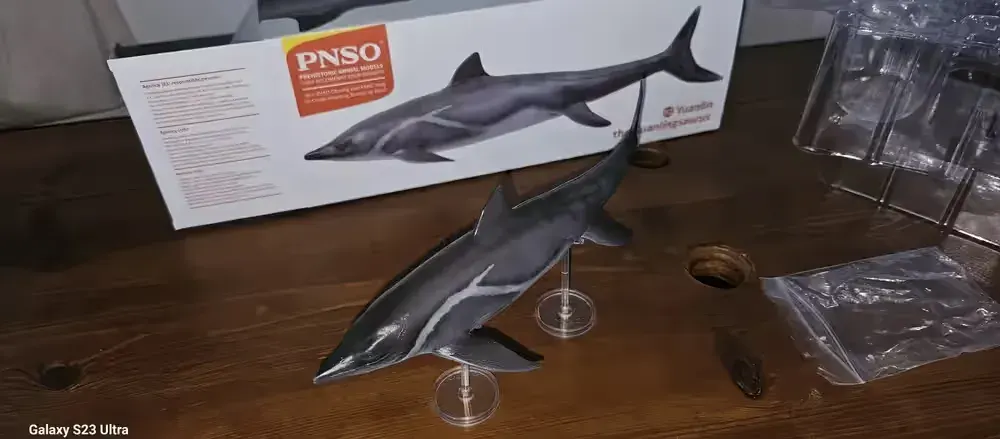 PNSO Guanlingsaurus — praca twórcy Karol na Freshwall Marketplace