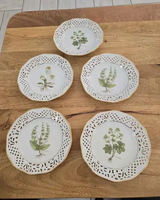 Ażurowe talerzyki Bavaria Schumann Arzerg botanica — praca twórcy Leszek na Freshwall Marketplace