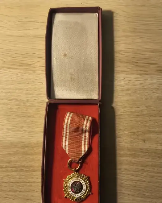 Medal siły zbrojne w służbie ojczyzny 20 lat — praca twórcy Igor na Freshwall Marketplace