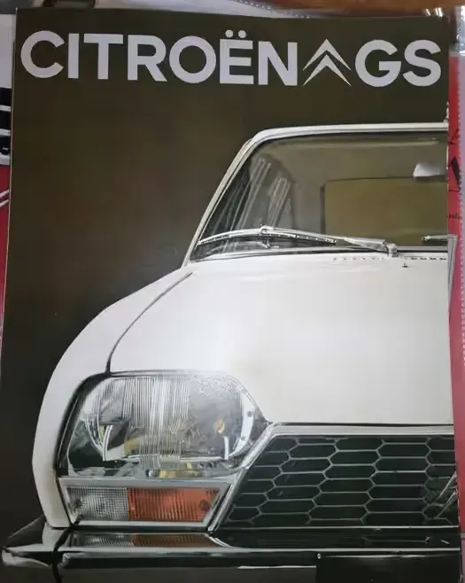Prospekt Citroen GS — praca twórcy Caprice na Freshwall Marketplace