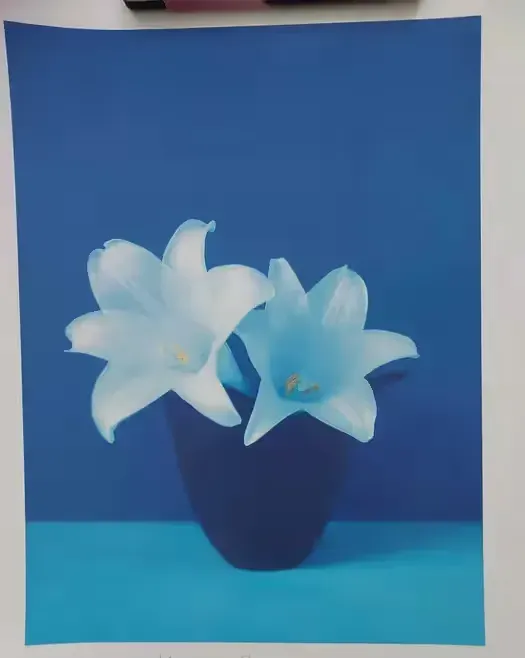 Plakat Masao Ota Lilie 40 x 50 — praca twórcy Zuza na Freshwall Marketplace