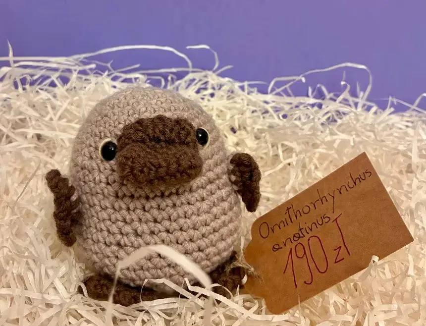 Dziobak amigurumi| rękodzieło na szydełku| sprzedaż charytatywna — praca twórcy Paweł M. na Freshwall Marketplace