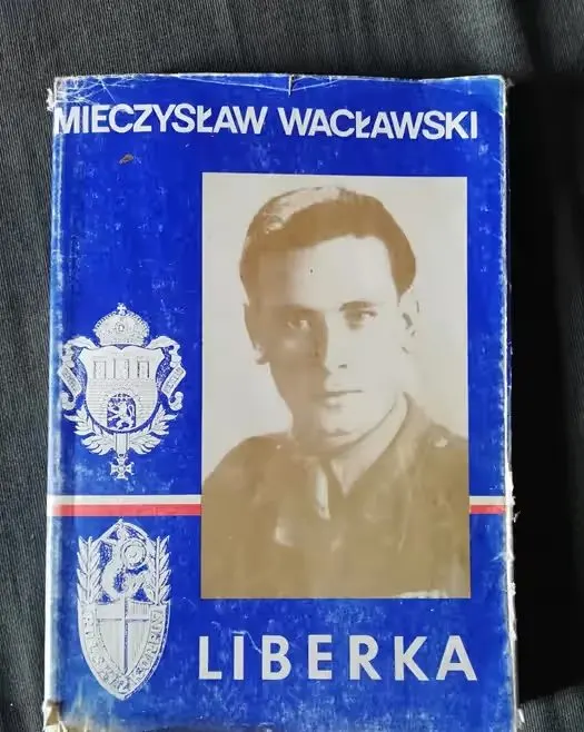 Liberka-Mieczysław Wacławski — praca twórcy Lena W. na Freshwall Marketplace