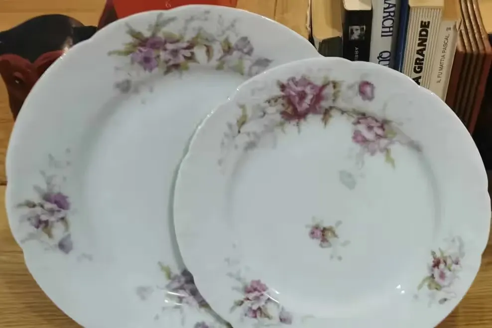 Zestaw talerzy limoges, Francuskie talerze zabytkowe. — praca twórcy jacoposaglio na Freshwall Marketplace