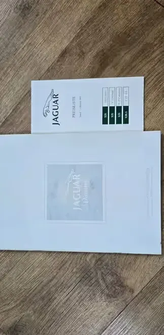 Prospekt Jaguar program — praca twórcy PROspektor na Freshwall Marketplace