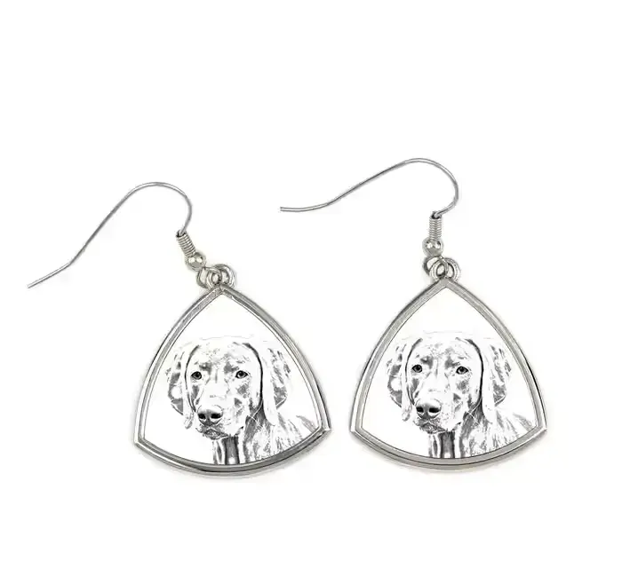 Wyżeł weimarski kolczyki ze zdjęciem psa Art-Dog — praca twórcy Krzysztof Liszka na Freshwall Marketplace