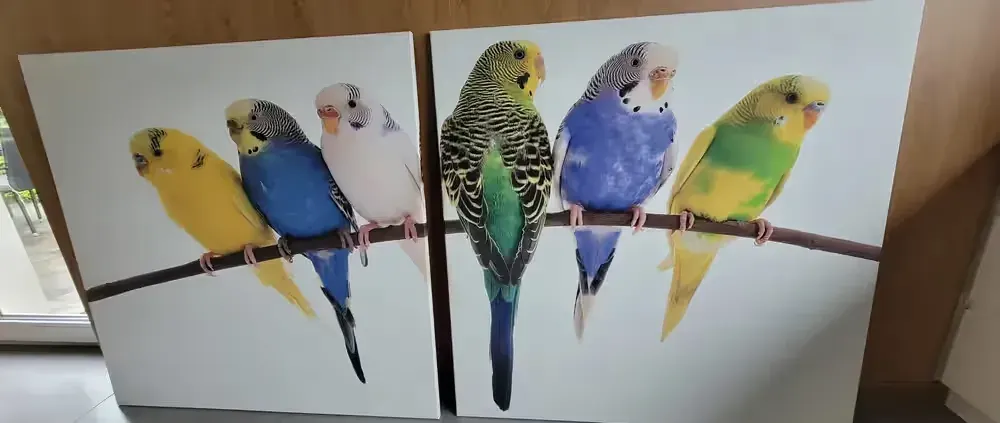 Obraz duży format 120×120 wydruk — praca twórcy Danuta na Freshwall Marketplace