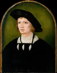 Portrait of a Man — Netherlandish Painter — ujęcie 2