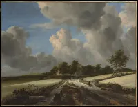 Wheat Fields — Jacob van Ruisdael — ujęcie 2