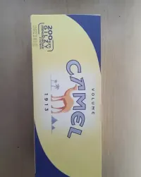 Gilzy Camel 200szt 11opak — ujęcie 5