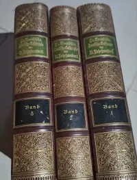 Historia Niemiec XIX wieku. Tekst pisany gotykiem. — ujęcie 5