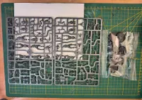 Plaguebearers wypraski, Maggotkin of Nurgle, Warhammer Age of Sigmar — ujęcie 3