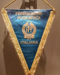 Proporczyk olimpijski reprezentacji Włoch — ujęcie 2