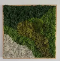 Obraz z mchu w drewnianej dębowej ramie 50x50 cm — ujęcie 3