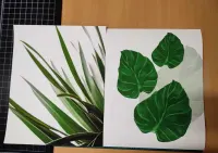 Zestaw 2 plakatów 40x50 komplet zieleń liście OUTLET — ujęcie 5