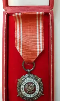 PRL- Medal SIŁY ZBROJNE W Służbie Ojczyzny X srebrny — ujęcie 2