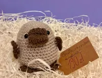 Dziobak amigurumi| rękodzieło na szydełku| sprzedaż charytatywna — ujęcie 2