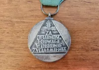 Medal za ofiarność i odwagę — ujęcie 3