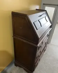 Sekretarzyk holenderski — ujęcie 2
