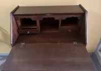 Sekretarzyk holenderski — ujęcie 5