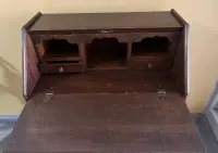 Sekretarzyk holenderski — ujęcie 5