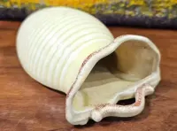 Stary, ceramiczny wazon scienny — ujęcie 4