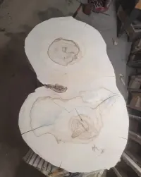 Plaster kasztanowca, wyszlifowany, 10cm — ujęcie 2