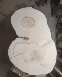 Plaster kasztanowca, wyszlifowany, 10cm — ujęcie 2