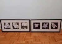 Zestaw 2 obrazów Ikea — ujęcie 4