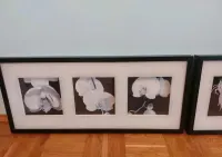 Zestaw 2 obrazów Ikea — ujęcie 3