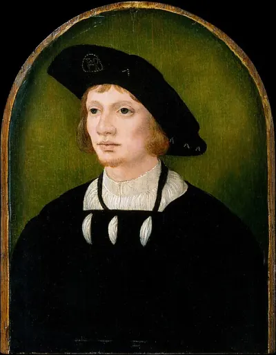 Portrait of a Man — Netherlandish Painter — praca Iwona Sokołowski, Lublin