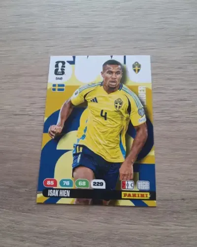 Karta panini isak hien 540 mś 2026 — praca Mariusz, Grzybowo