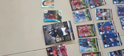 karty Panini od 2013 do 2019 — praca Kasia, Piotrków Trybunalski