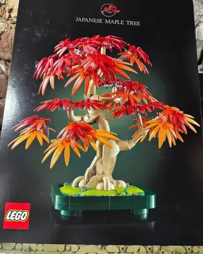 LEGO botanicals 10348 — praca Zander, Warszawa