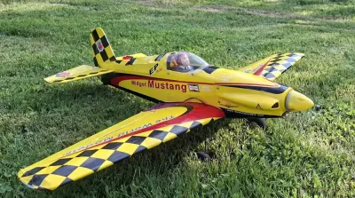 Midget Mustang EP mini — praca Michał, Pewel Ślemieńska