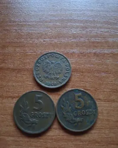 Moneta 5 groszy 1949r(3sztuki) — praca Ja, Karpacz