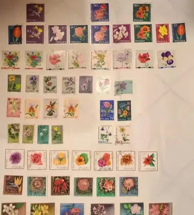 Kolekcja Znaczków Pocztowych PRL – Kwiaty FLORA / Zestaw Walorów — praca Leuciscus77, Łódź