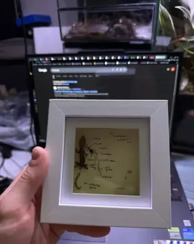 Preparat biologiczny art ozdoba dekoracja 3d gekon orzęsiony prezent dinozaur nowa kaledionia ramka obraz zawieszka gablotka gablota — praca GeckoForge, Gdańsk