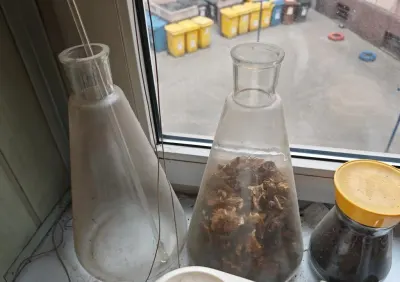Kolby chemiczne szklane wysokie do laboratorium dekoracyjne laboratoryjne kolba Poznań Stare Miasto — praca Dorota T., Wrocław