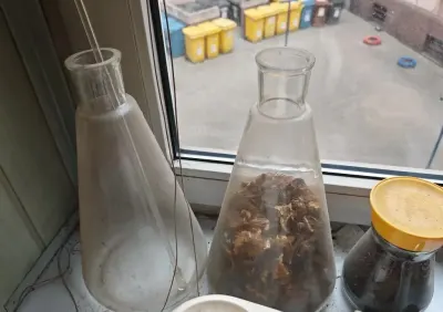 Kolby chemiczne szklane wysokie do laboratorium dekoracyjne laboratoryjne kolba Poznań Stare Miasto — praca Dorota T., Wrocław