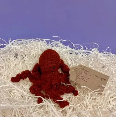 Ośmiornica amigurumi| szydełkowe rękodzieło| sprzedaż charytatywna — praca Barbara D., Wrocław
