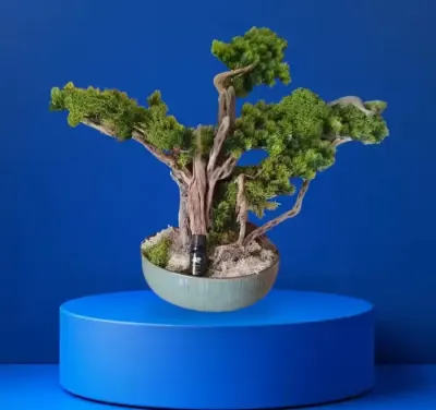 Rękodzieło, bonsai naturalne drewno . — praca Robr, Toruń