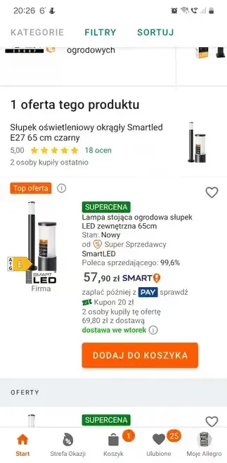 Lampa ogrodowa e 27-2szt — praca Daniel, Groblice